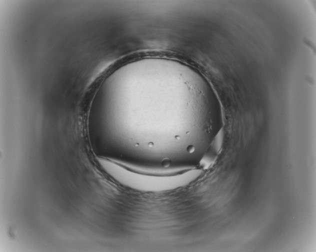 X0000097751208200803211644