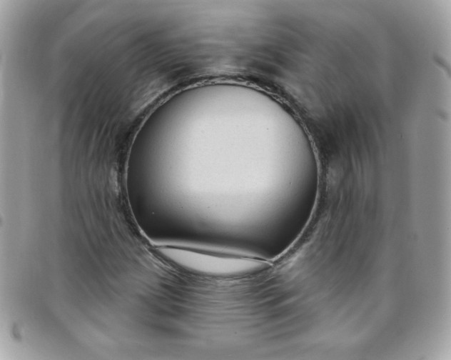 X0000097751209200803211644