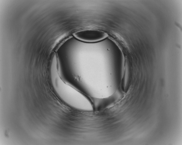 X0000097751210200803211644