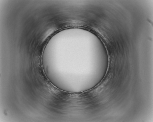 X0000097751211200803211644