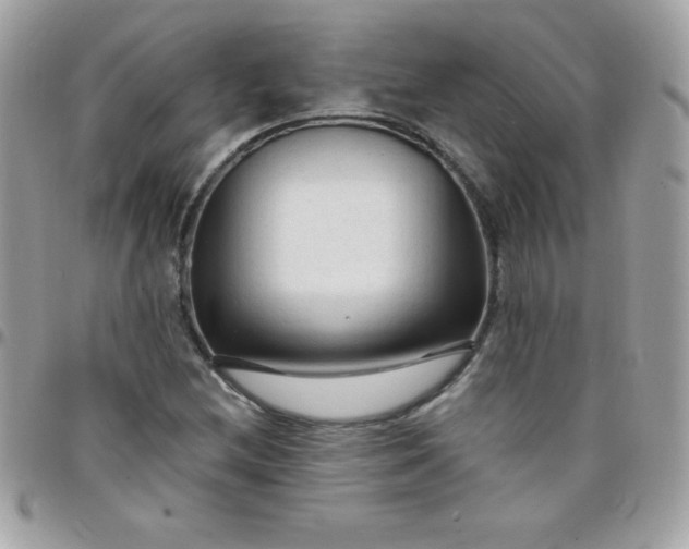 X0000097751212200803211644