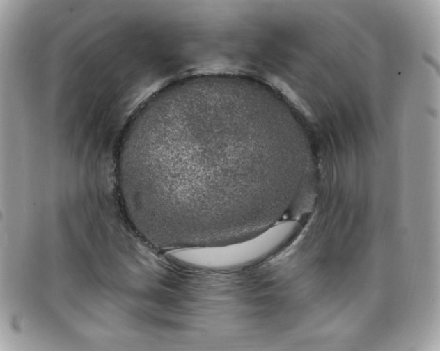 X0000097751213200803211644