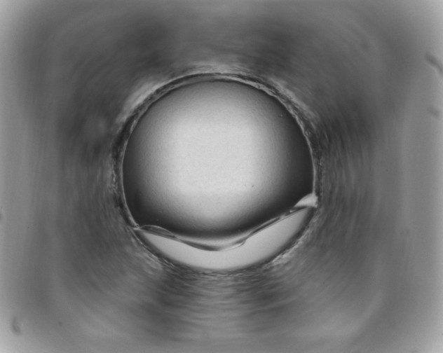 X0000097751215200803211644