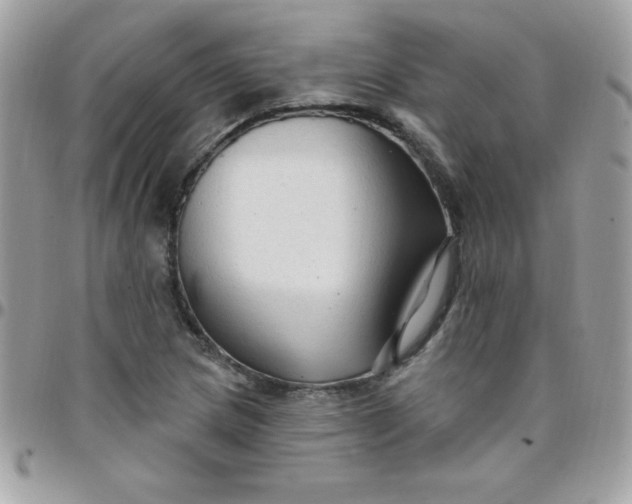 X0000097751217200803211644