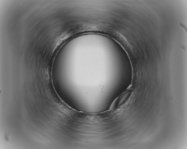 X0000097751218200803211644