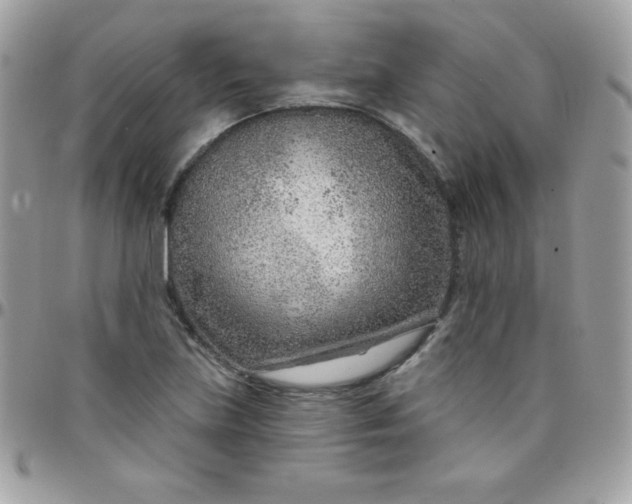 X0000097751219200803211644