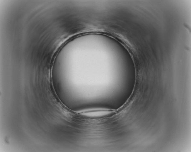 X0000097751220200803211644