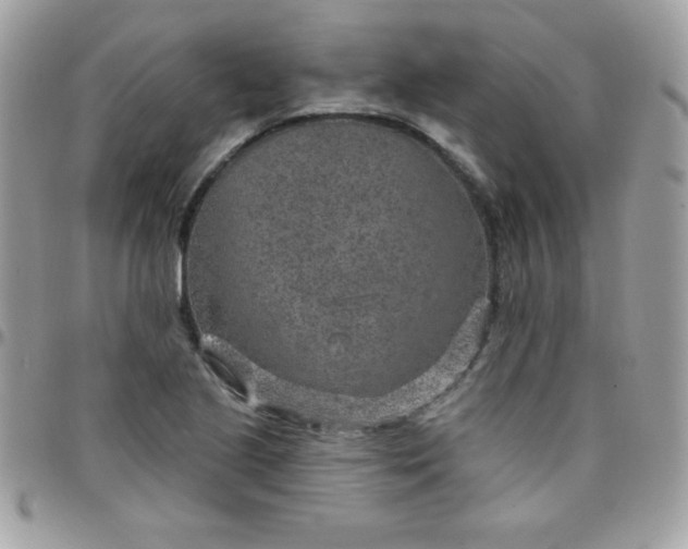 X0000097751221200803211644