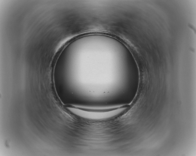 X0000097751222200803211644