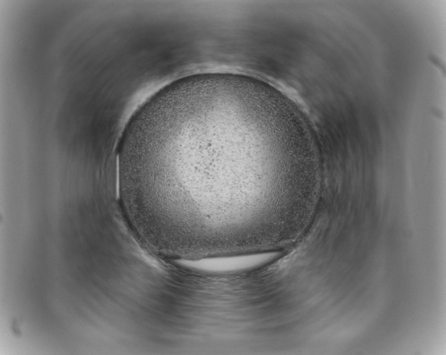 X0000097751223200803211644