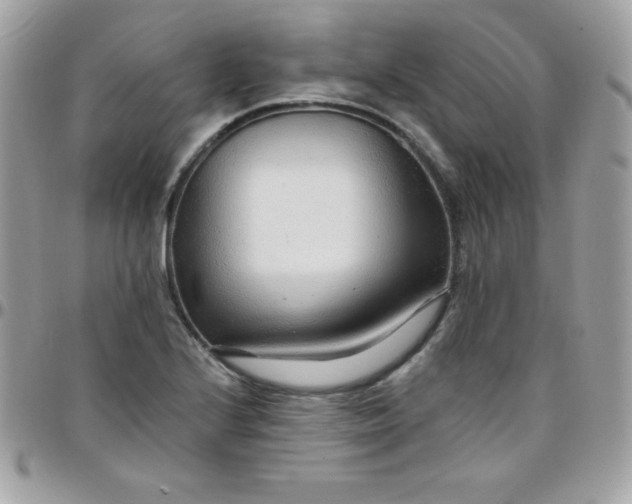 X0000097751224200803211644