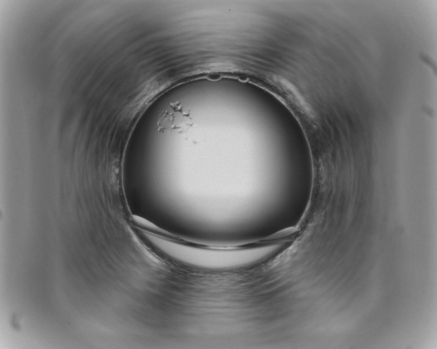 X0000097751225200803211644