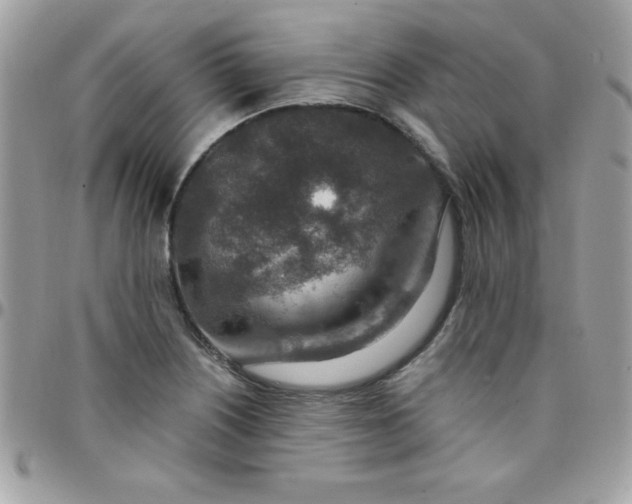 X0000097751226200803211645