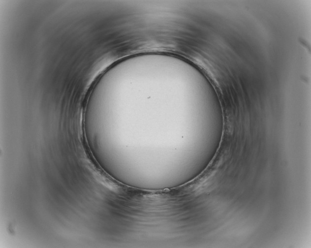 X0000097751227200803211645