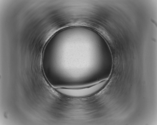 X0000097751228200803211645