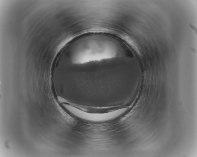 X0000097751229200803211645