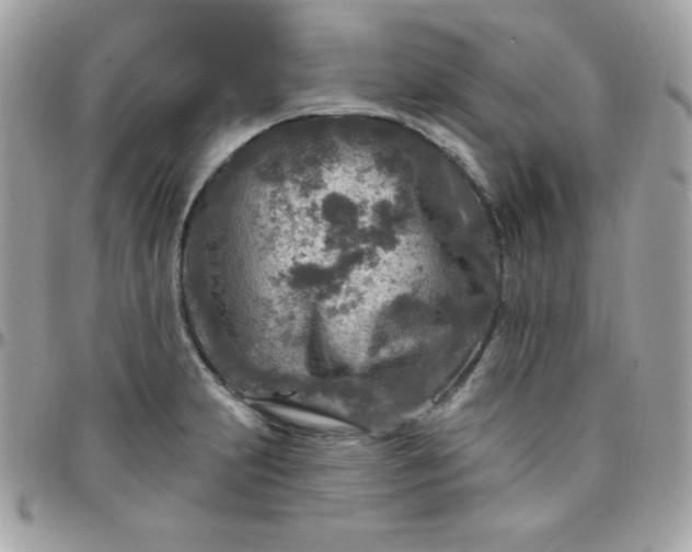 X0000097751231200803211645