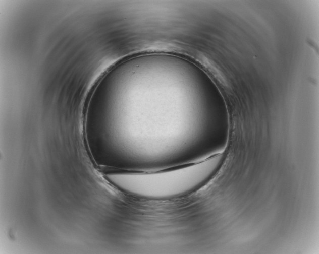 X0000097751232200803211645