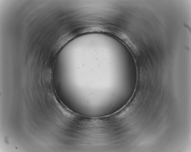 X0000097751233200803211645