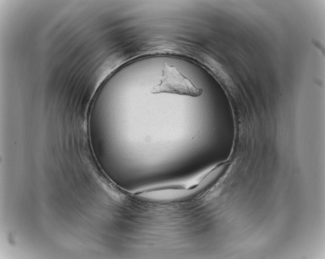 X0000097751234200803211645