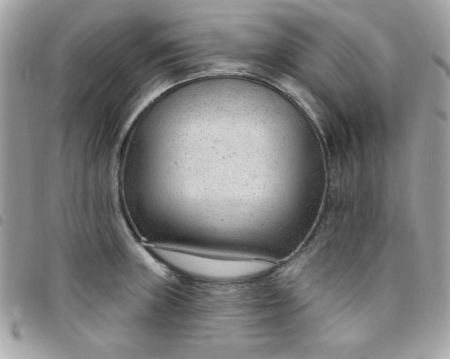 X0000097751235200803211645