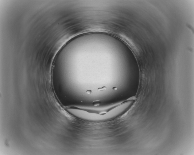 X0000097751236200803211645