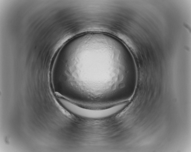 X0000097751237200803211645