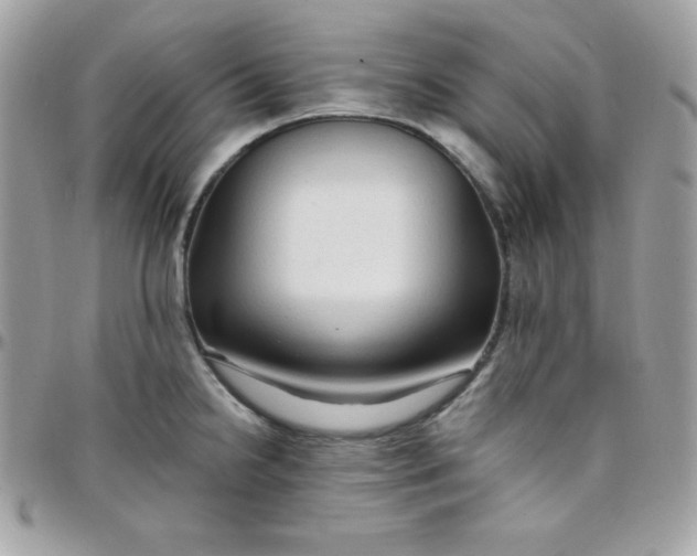 X0000097751238200803211645