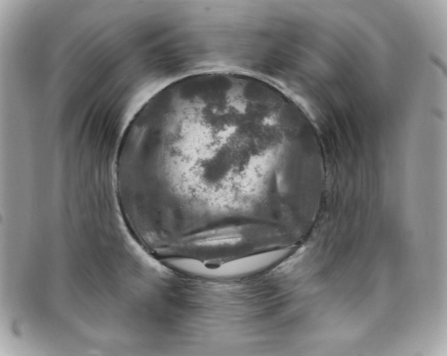 X0000097751239200803211645