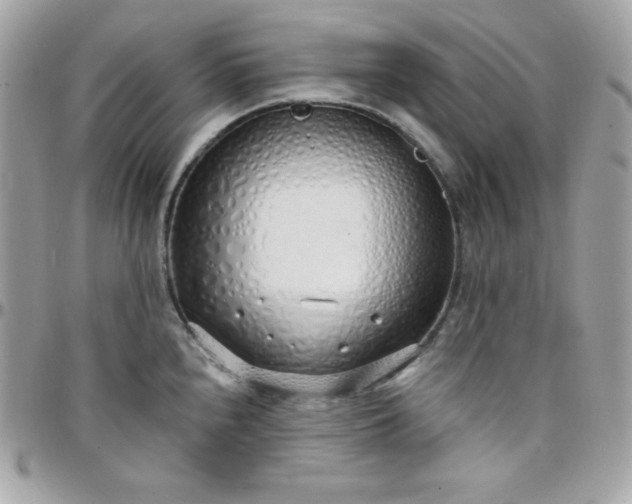 X0000097751240200803211645