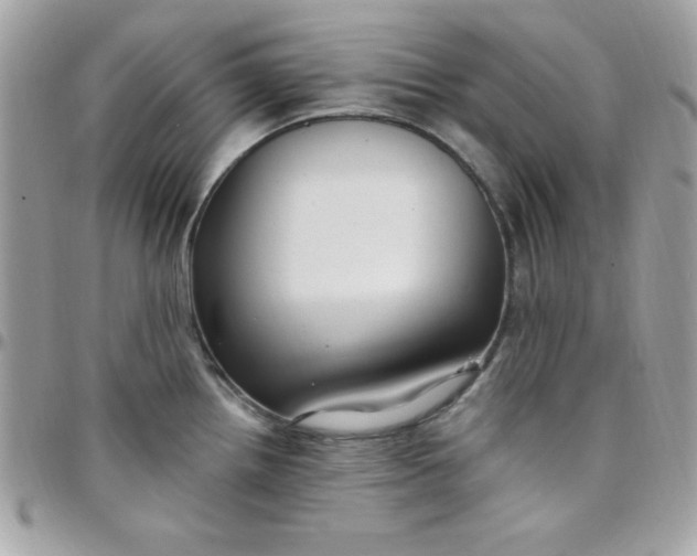 X0000097751242200803211645