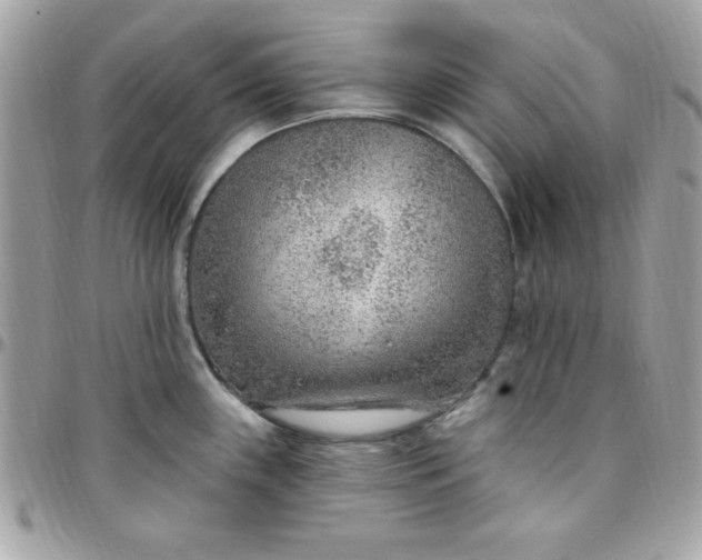 X0000097751243200803211645