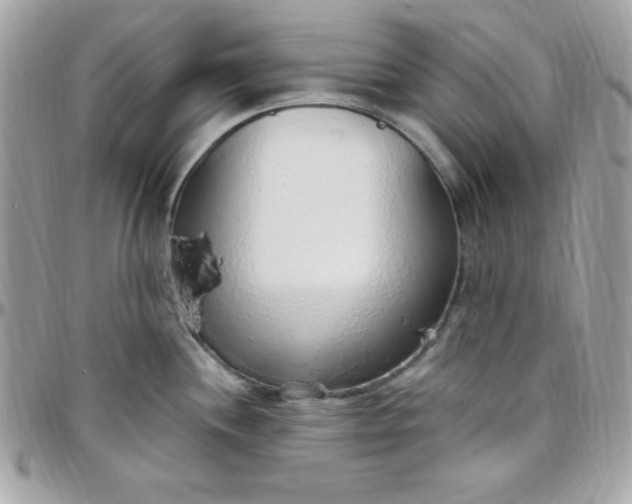 X0000097751244200803211645