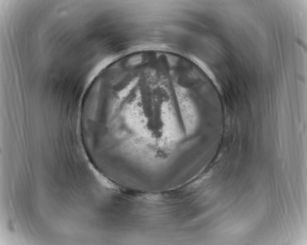 X0000097751245200803211645