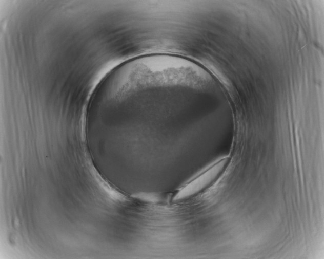 X0000097751246200803211645