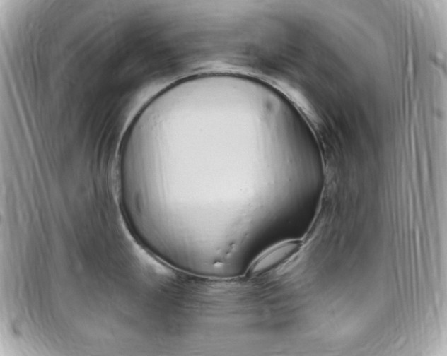 X0000097751247200803211645