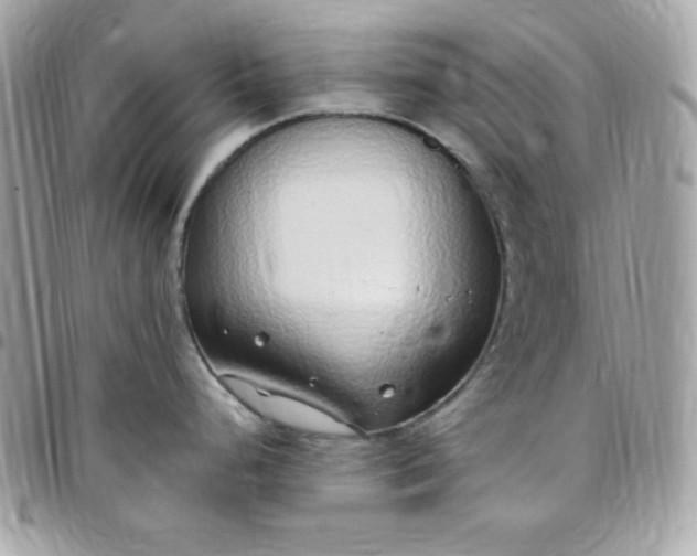 X0000097751248200803211645