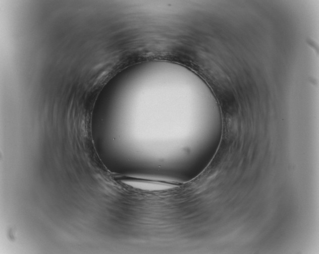 X0000097751250200803211644