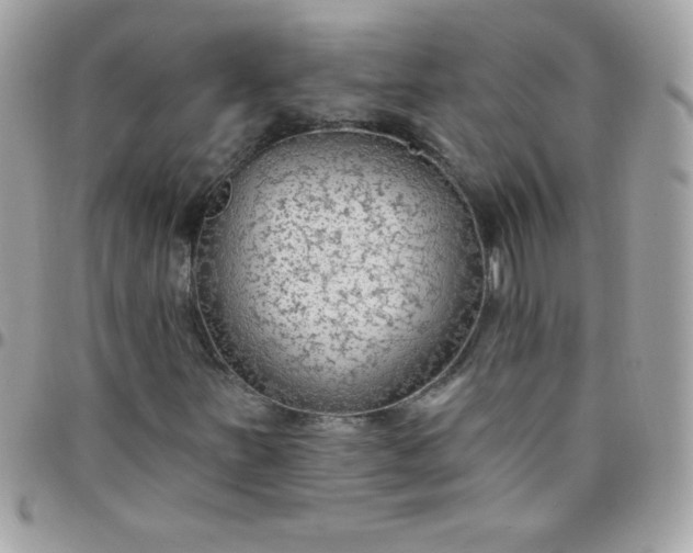 X0000097751251200803211644