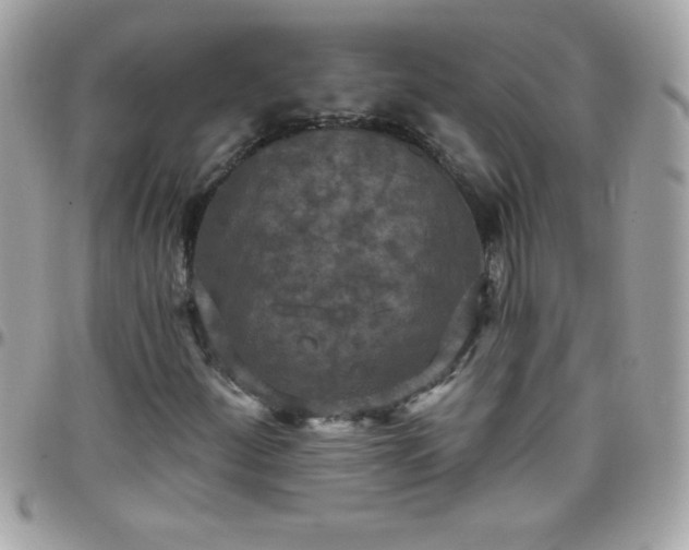 X0000097751252200803211644