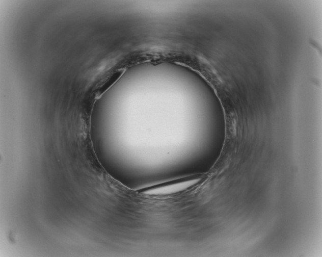 X0000097751253200803211644