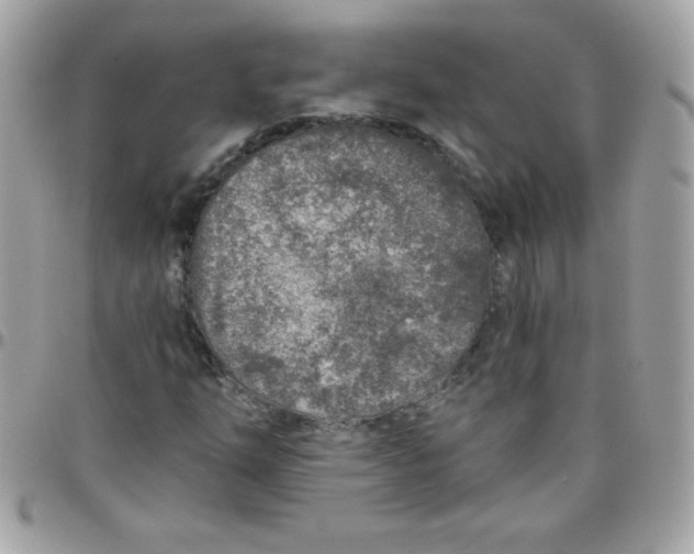 X0000097751254200803211644