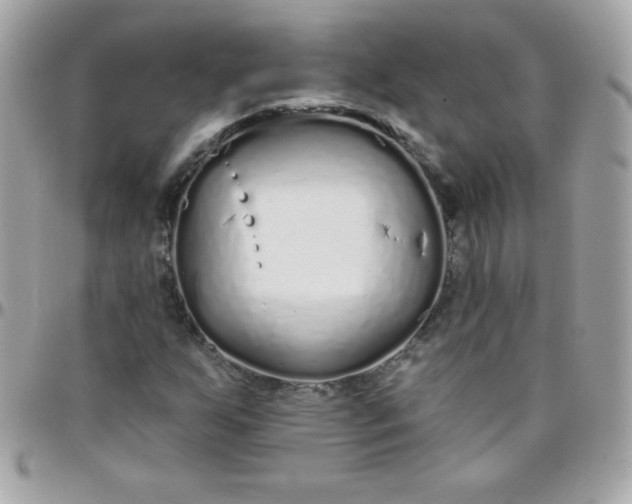 X0000097751255200803211644