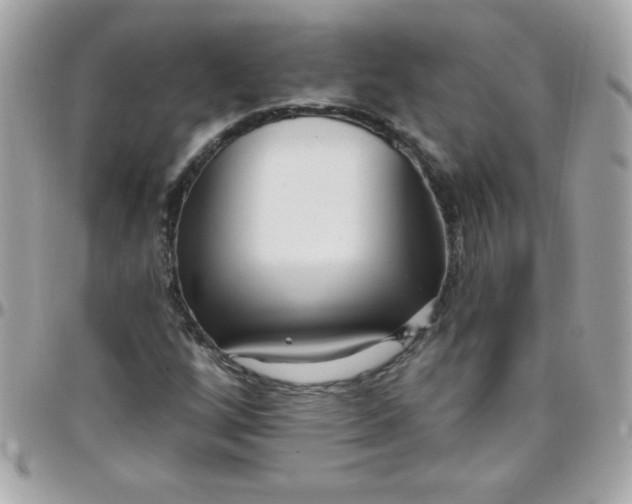 X0000097751256200803211644