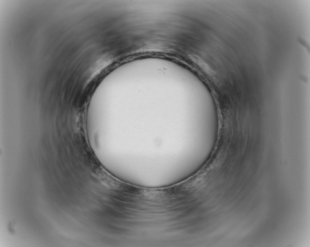 X0000097751258200803211644