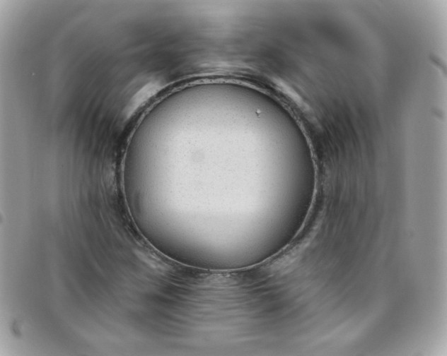 X0000097751259200803211644