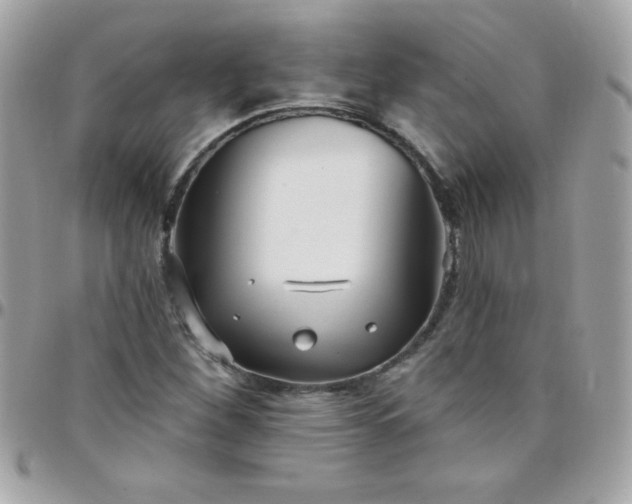 X0000097751260200803211644