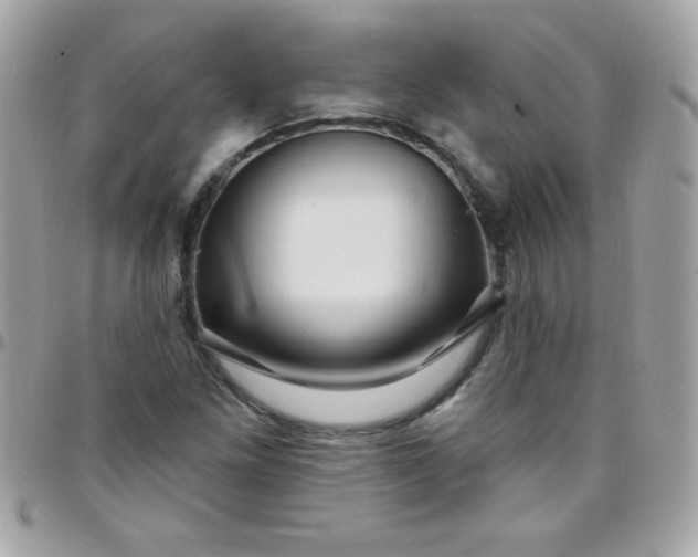 X0000097751261200803211644