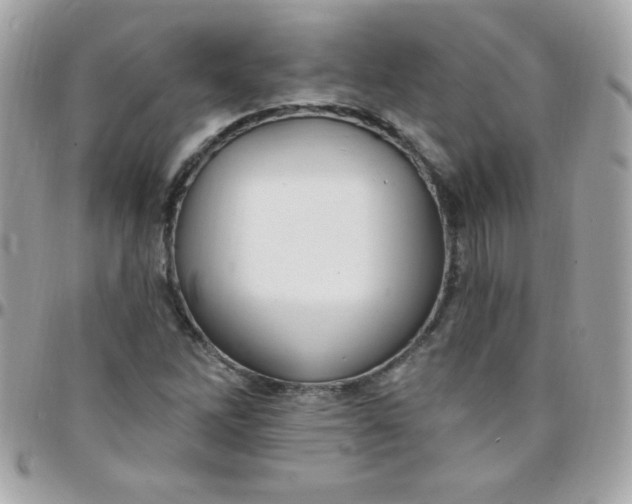 X0000097751262200803211644