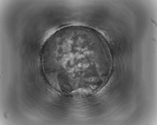 X0000097751263200803211644